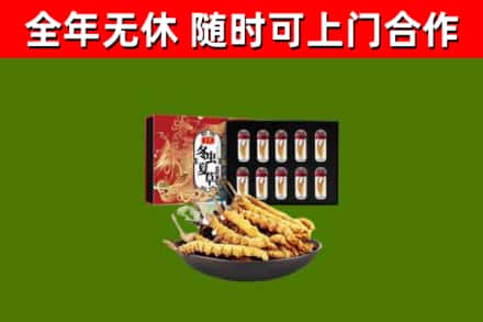 商南县回收冬虫夏草价格