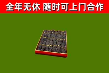 商南县回收海参
